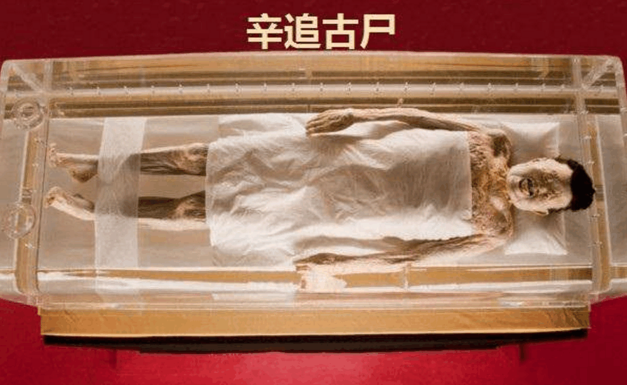 这具女尸叫做辛追,到底是有什么样的原因,使得美国,日本两个国家,对这