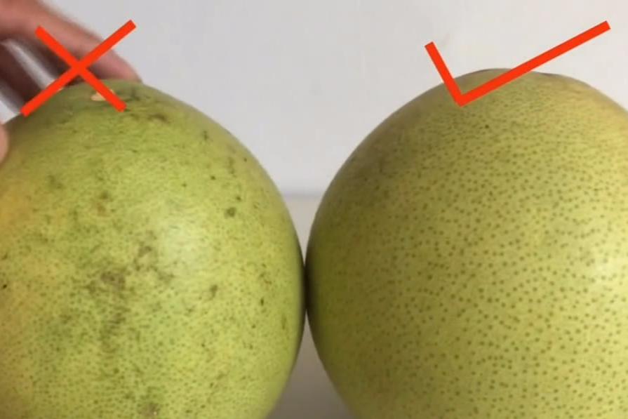 柚子也分公母?记住这3点,挑的柚子全是母的,又甜又可口