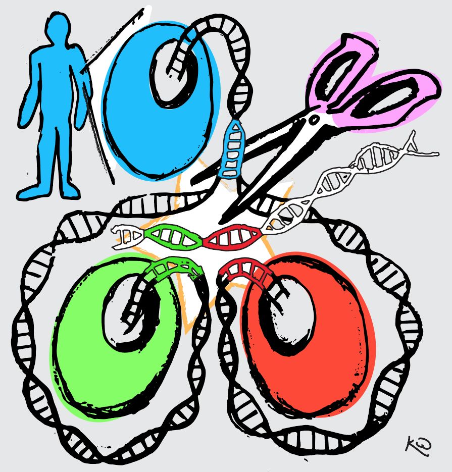 基因编辑工具可精确修改单个DNA？科学家们做到了！__财经头条