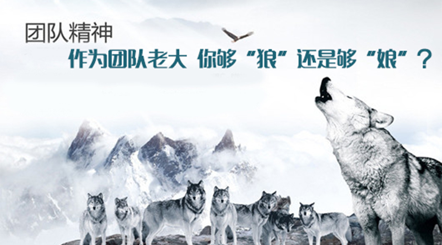 跪着互扇耳光,这叫企业文化?|企业文化|性文化|团队_新浪新闻