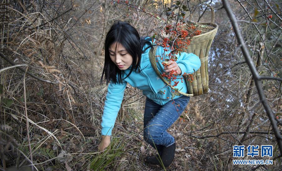 山妹子与她的"感恩网店"