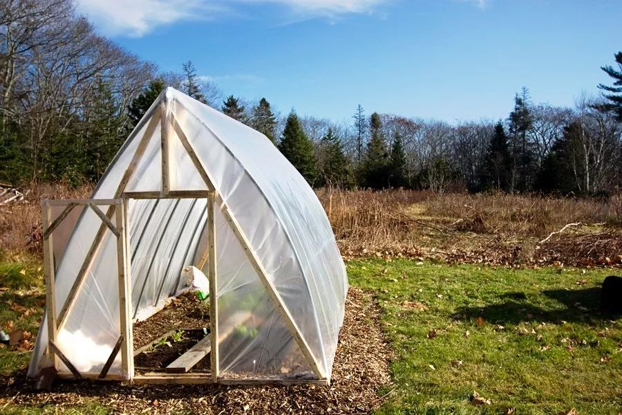 冬天用这些方法轻松增加养花的温度,自制的小温室里植物不会死