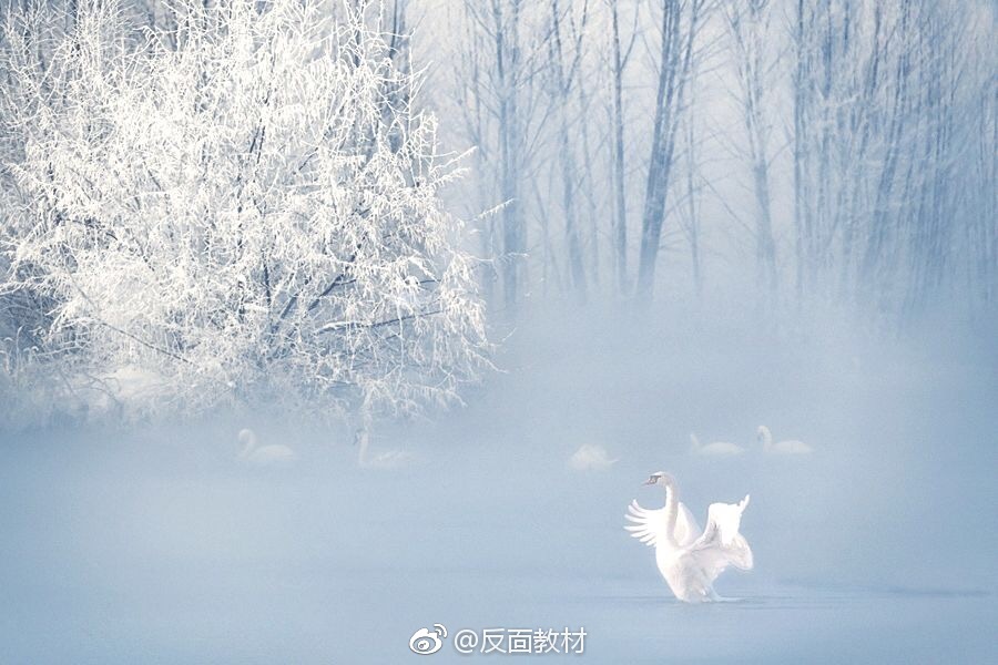 青春年少的爱情,是一首说不清道不明的朦胧诗