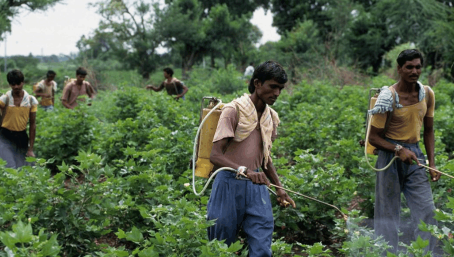 印度农民和中国农民相比,大部分的中国农民还是相对比较轻松.