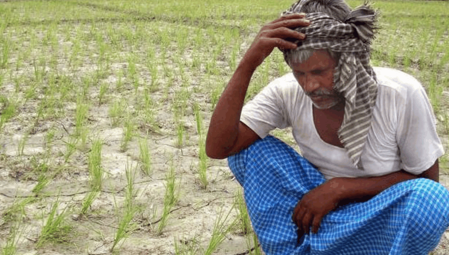 印度贫苦农民是这样耕种的 看着好可怜
