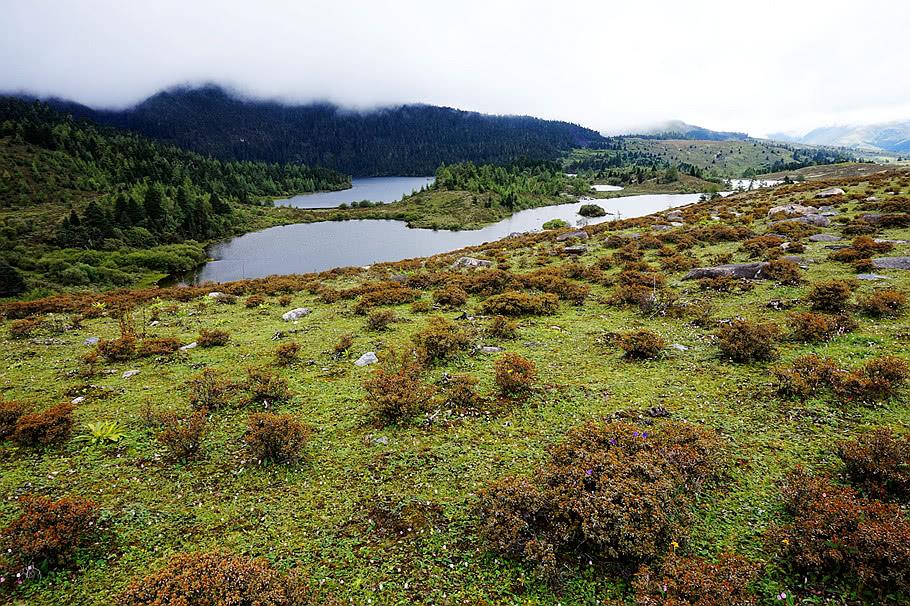 南宝牧场一派田园风光, 休闲度假的好去处