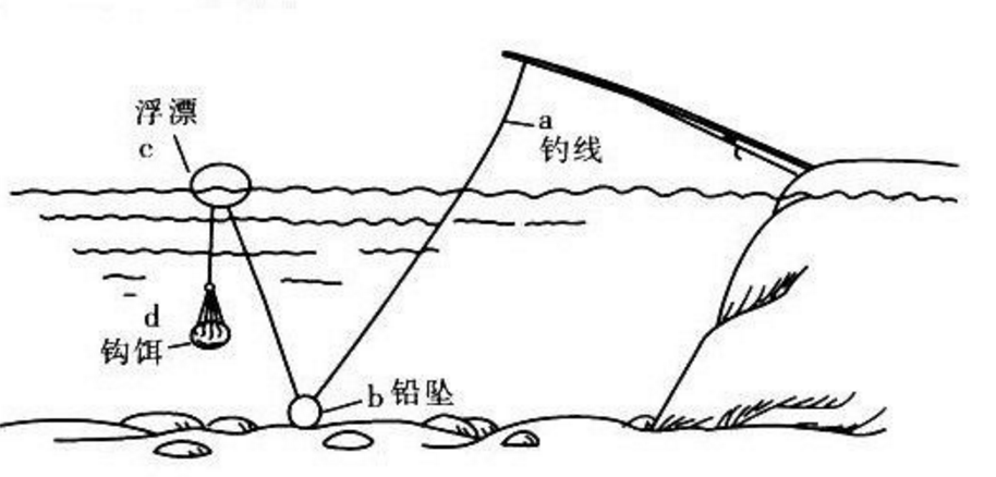 如何用海竿浮钓，图解浮漂组装！