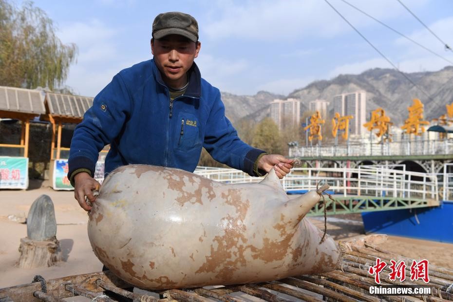 甘肃兰州四代人薅羊毛吹羊皮传承羊皮筏子古手艺