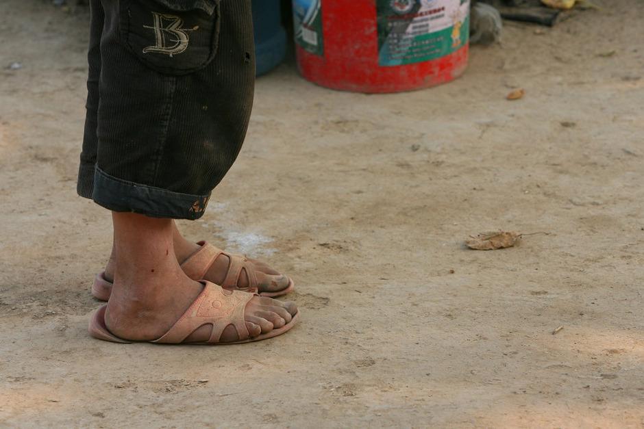 农村少年每天放羊攒钱, 竟然是为做一次亲子鉴定