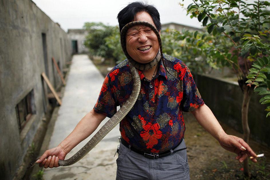 探访一个有万条蛇的村子