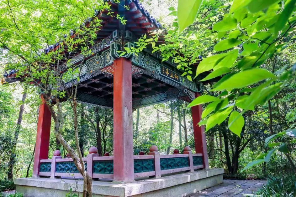 叶恭绰的收藏故事