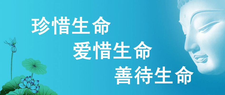 当孩子理解死亡才能学会珍惜爱与生命