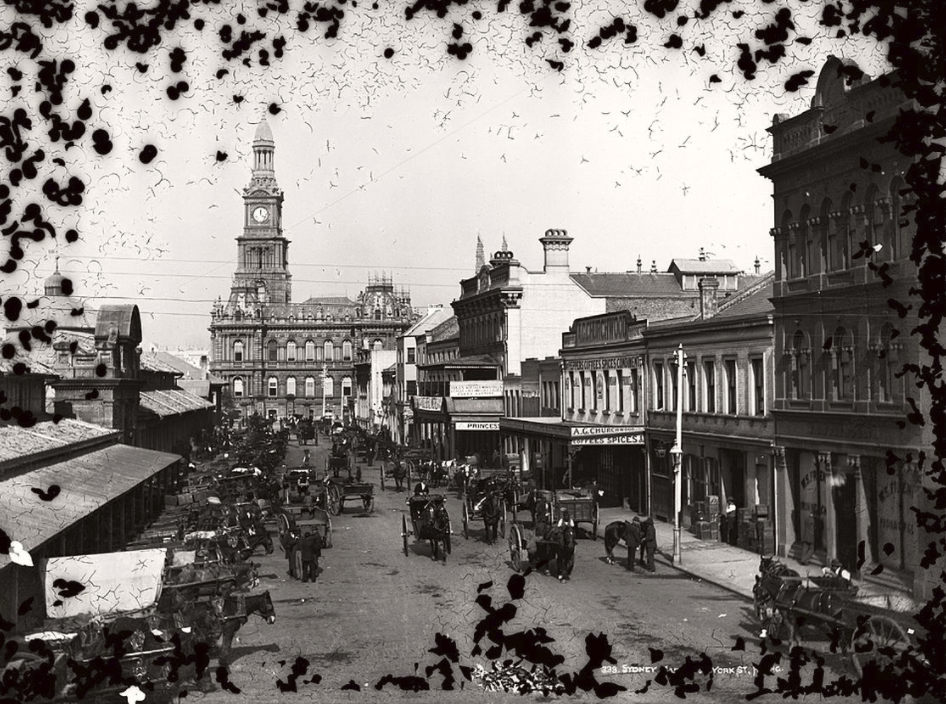 老照片悉尼城市街道20世纪初