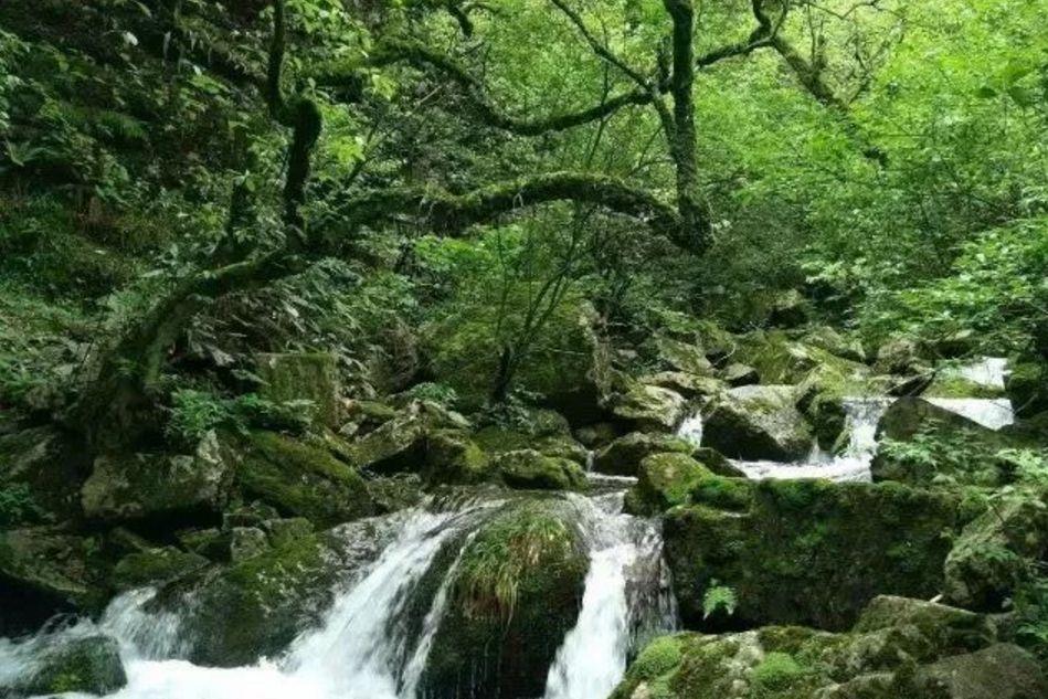 黔江灰千梁子的冬季雾凇如此漂亮