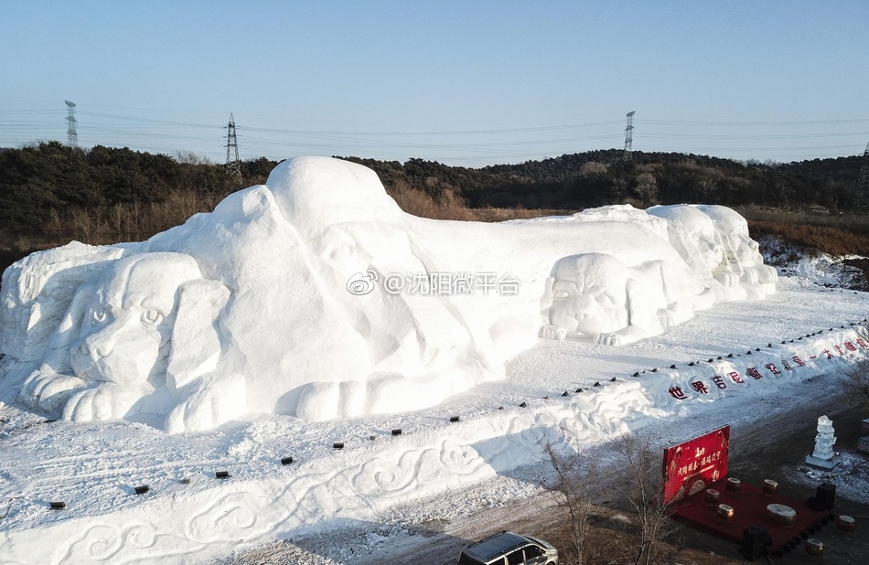 世界最大"雪雕狗"亮相沈阳