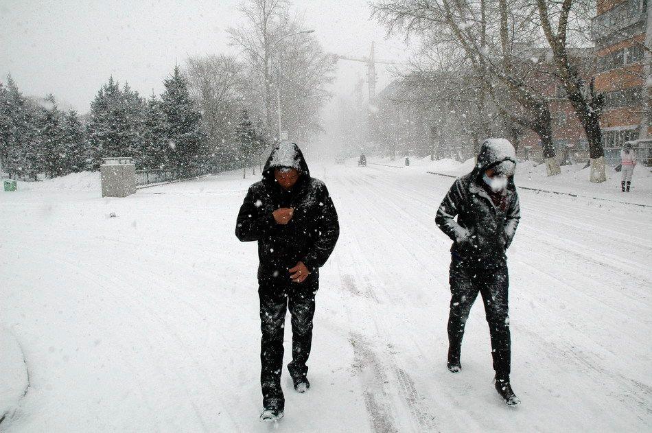 河南下周迎新一轮大范围降雪, 郑州中雪! 大风也杀到