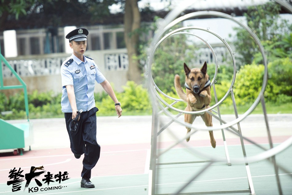 《警犬来啦》跨年热播 杨蓉贾景晖情感初露端倪