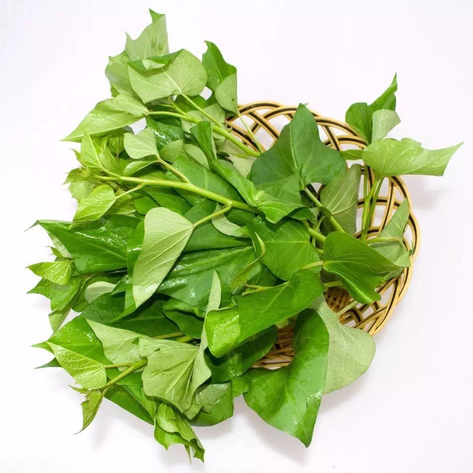 农村这种常见的叶子却是女人的良药排出全身毒素9大功效