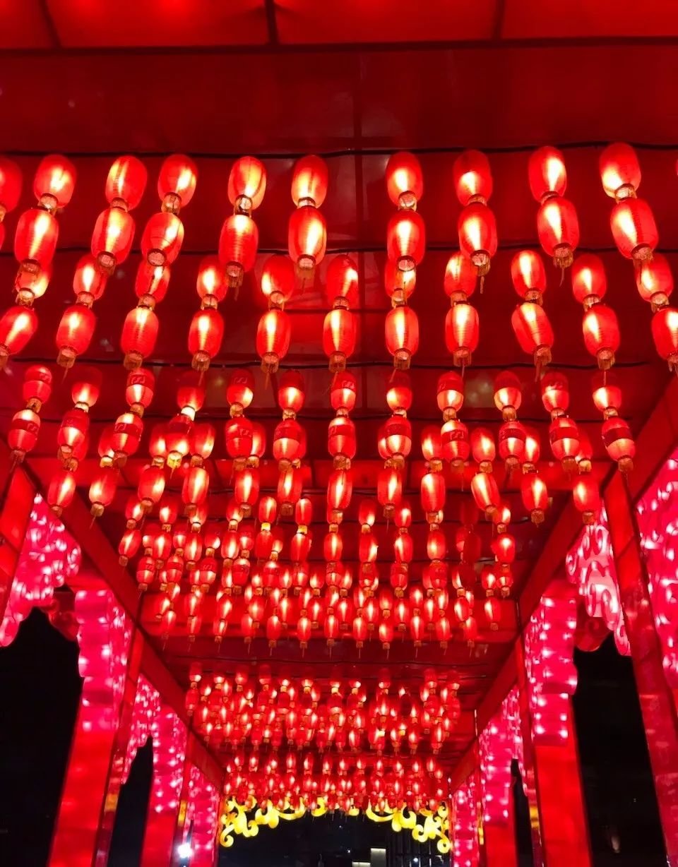 元本带您赏花灯猜灯谜