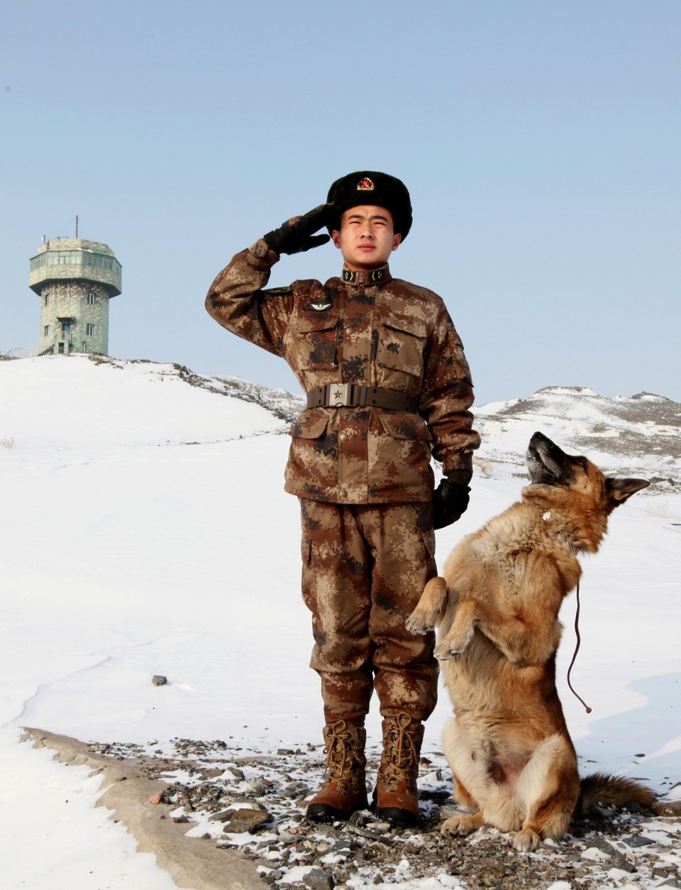 军犬陪兵哥一起守边疆,令行禁止,还会敬礼