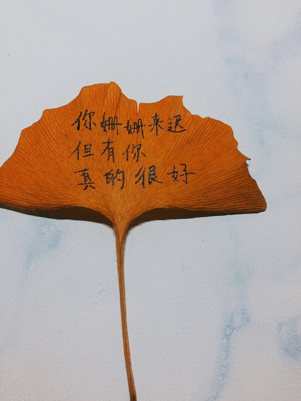 生活委员用银杏叶手写三行情书做圣诞礼物