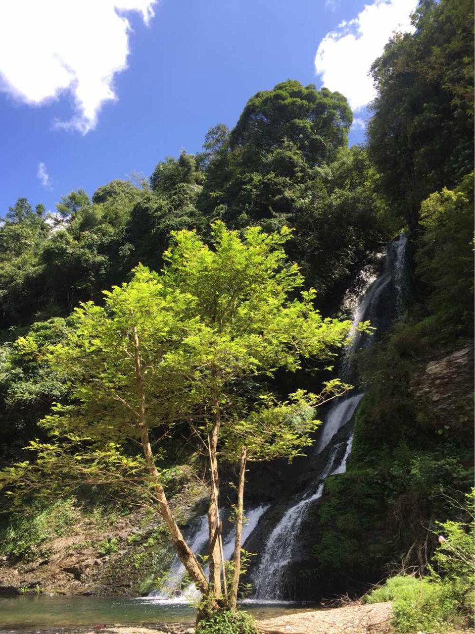 打鼓岭,位于崇山峻岭之间,自有一股与众不同的独特魅力