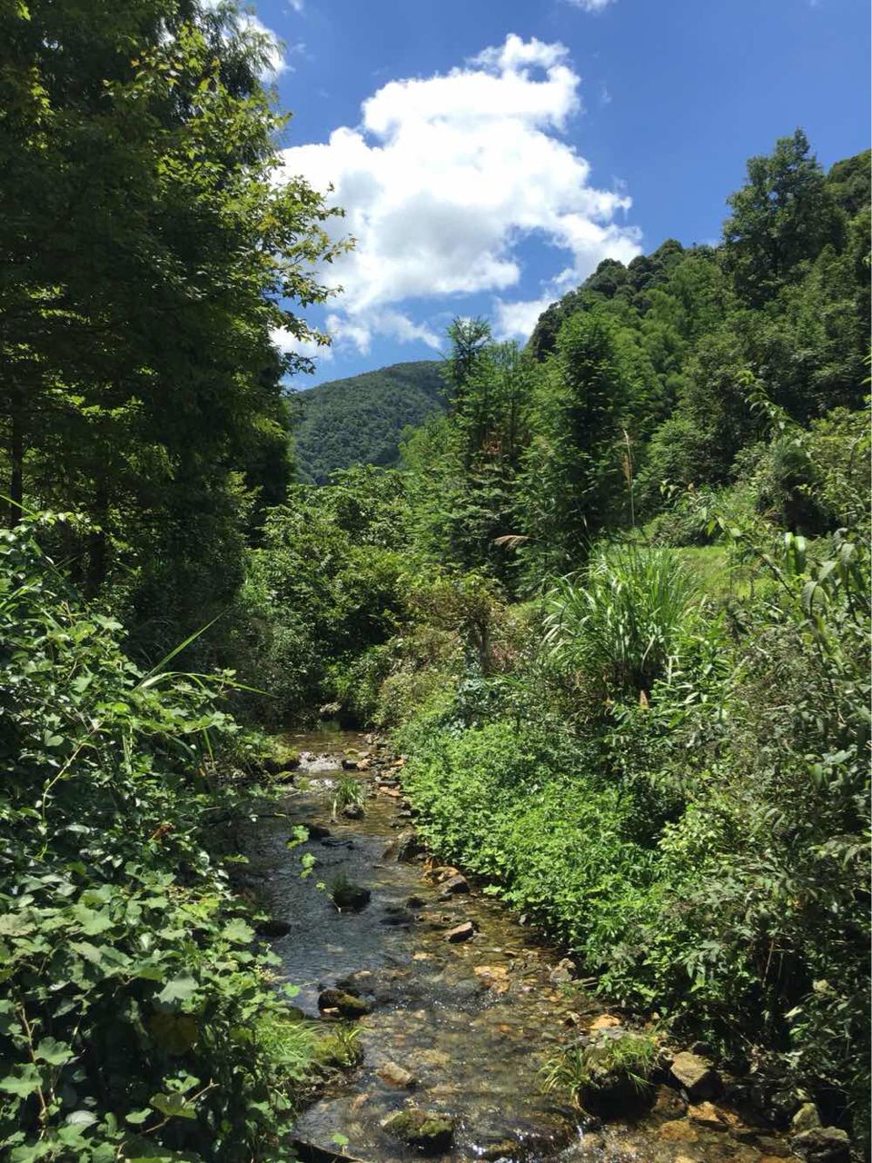 打鼓岭,位于崇山峻岭之间,自有一股与众不同的独特魅力