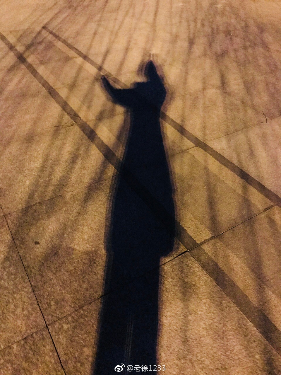 人生不可能总是顺心如意,但持续朝着阳光走,影子就会躲在后面.