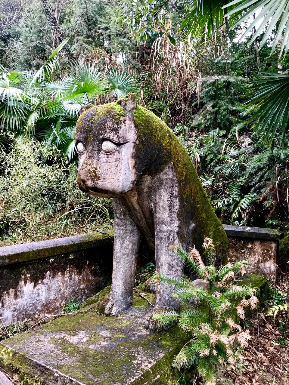 湖广总督陆军兵部尚书周馥墓附近