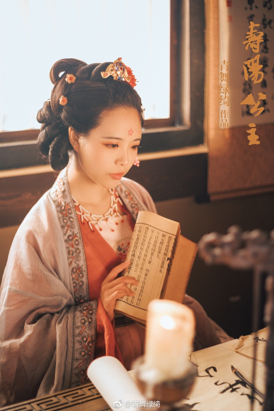 昔宋武帝女寿阳公主人日卧于含章殿檐下