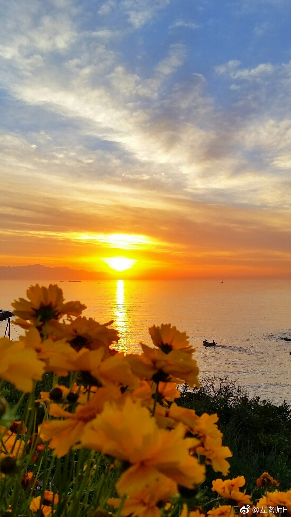 带你去看青岛西海岸的日出花海