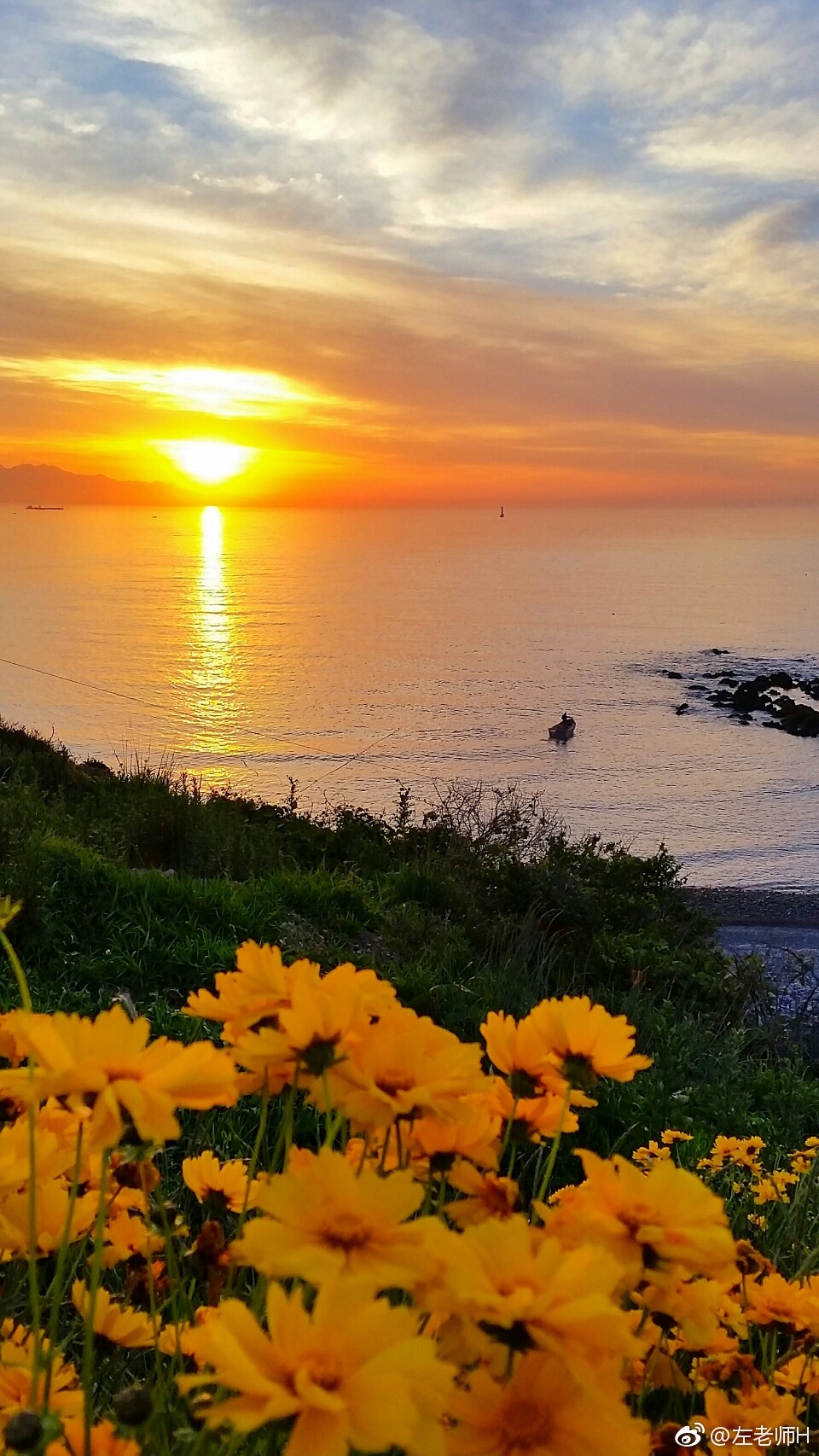 带你去看青岛西海岸的日出花海