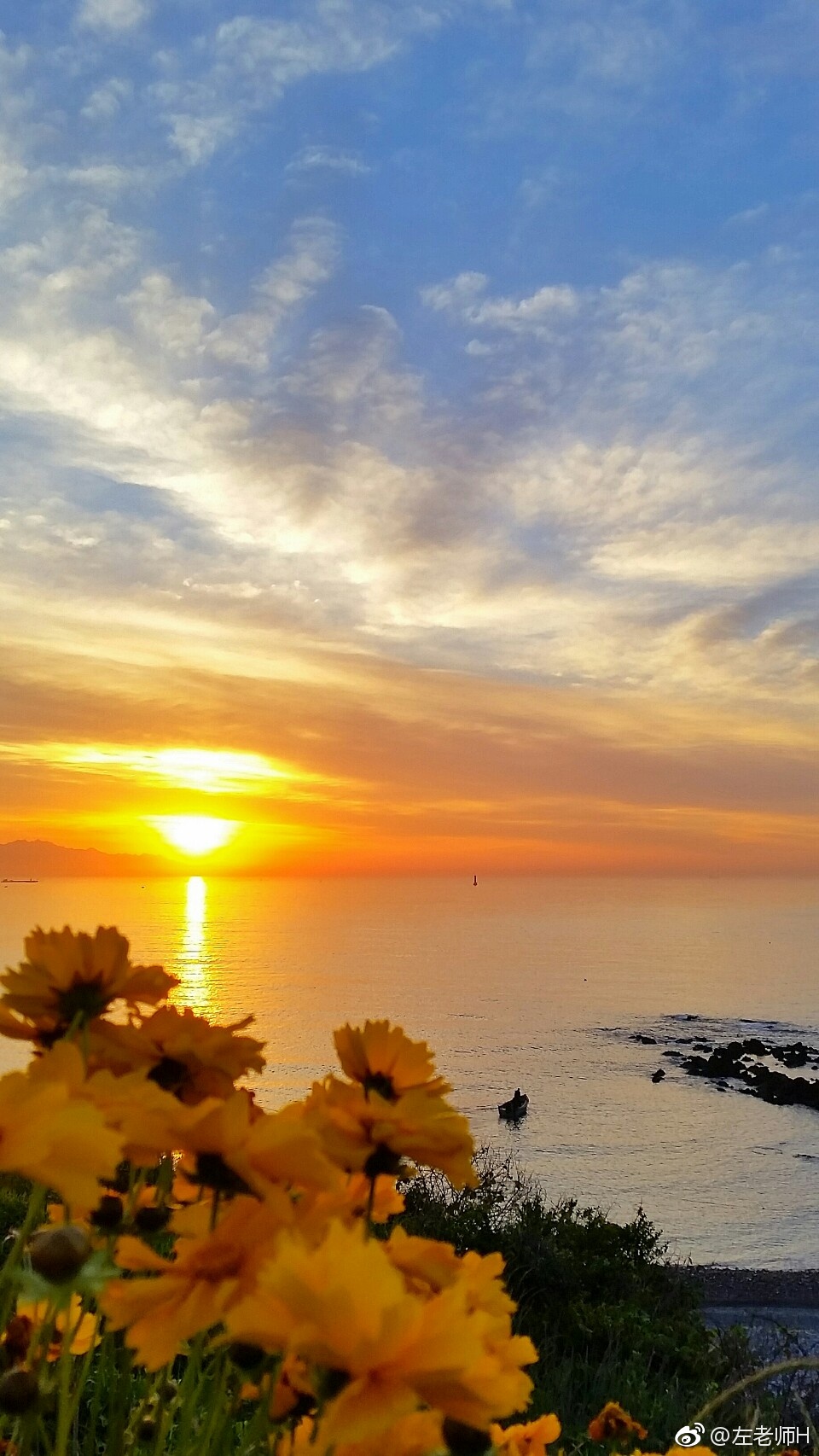 带你去看青岛西海岸的日出花海