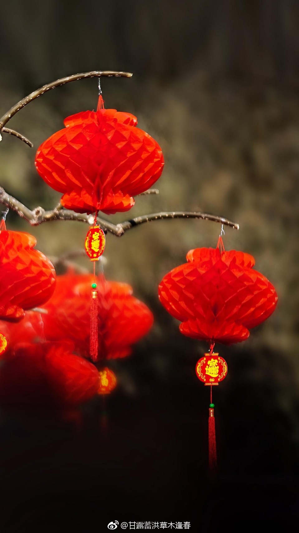 中国红(又称绛色)是三原色中的大红|三原色|中国红|绛色|相思豆|铁锈红_新浪新闻