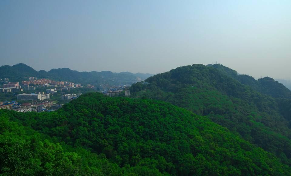 外媒:未来中国的第一大城市会是重庆,但国人好