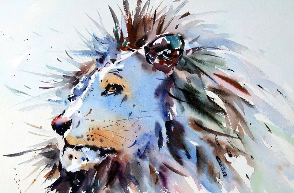 jakewinkle来自英国的艺术家他的动物水彩画十分引人注目