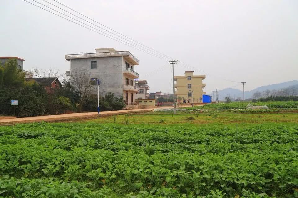 祁阳的美丽乡村风景之黄泥塘镇唐家岭乡九洲村