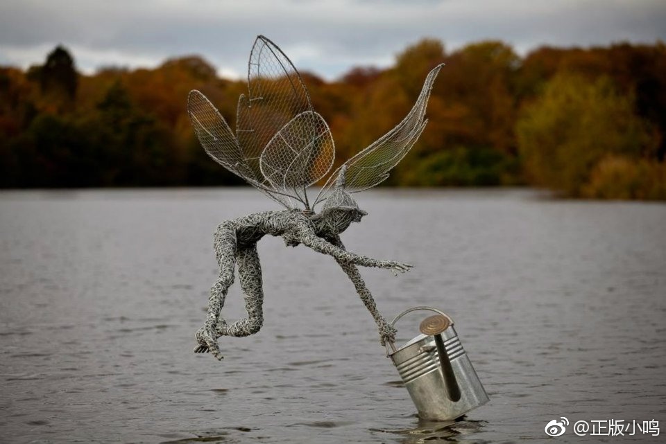 fantasy wire 英国雕塑艺术家robin wight用不锈钢钢丝制作出了姿态