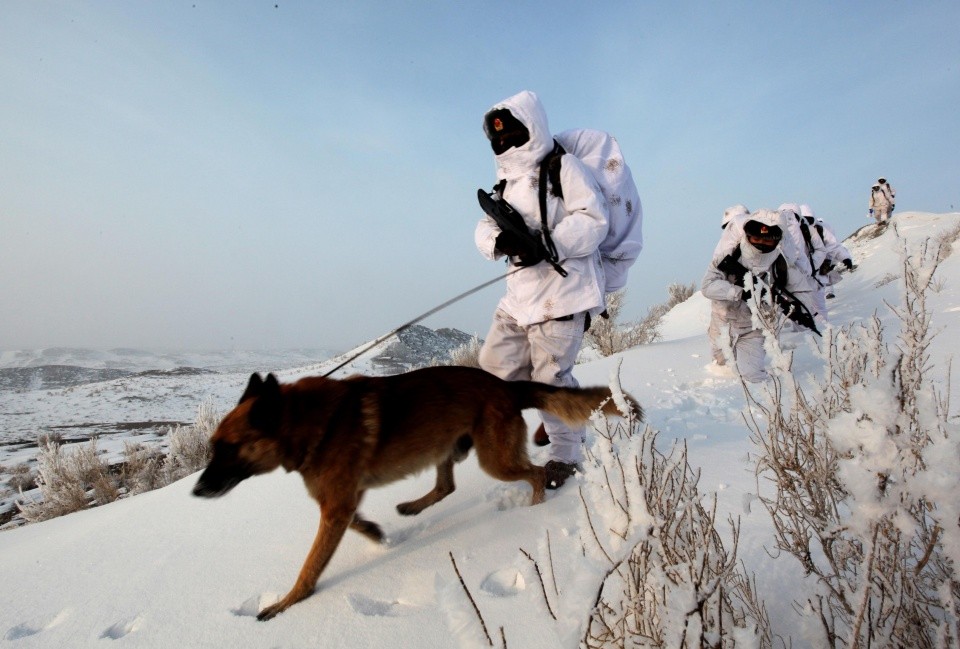 图为连队官兵带着军犬豆虎执行边防巡逻任务.