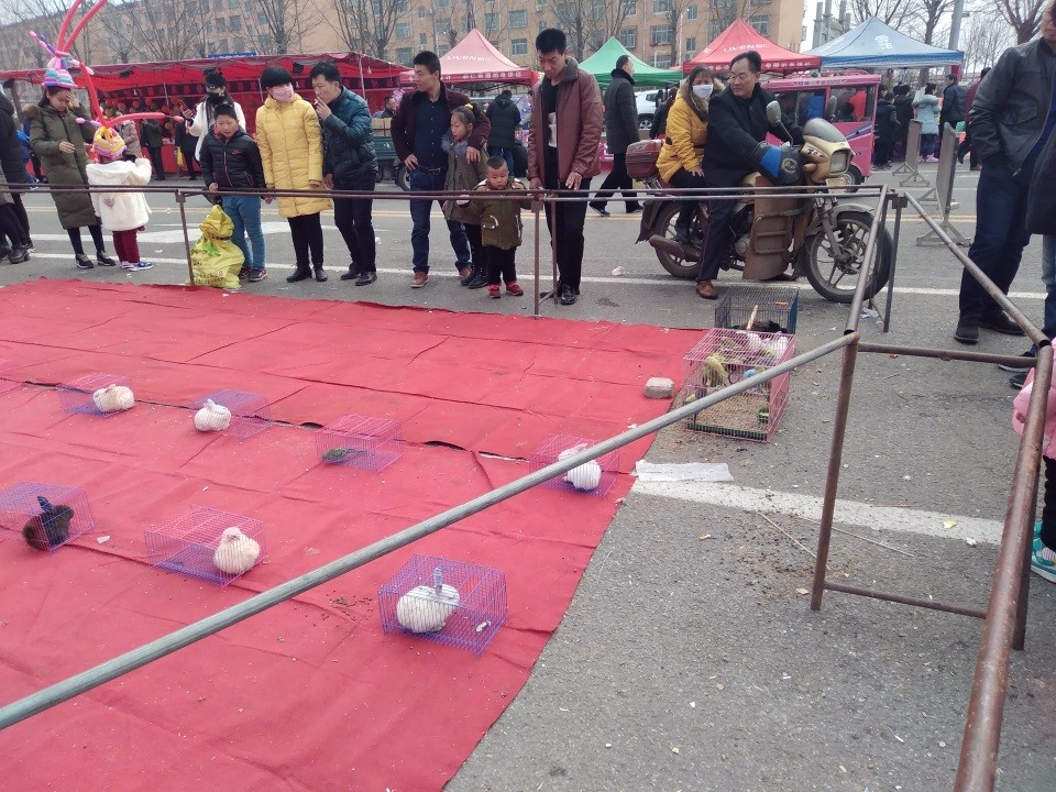 都说套圈有套路,盘点2018年农村庙会上的那些有创意的奇葩套圈