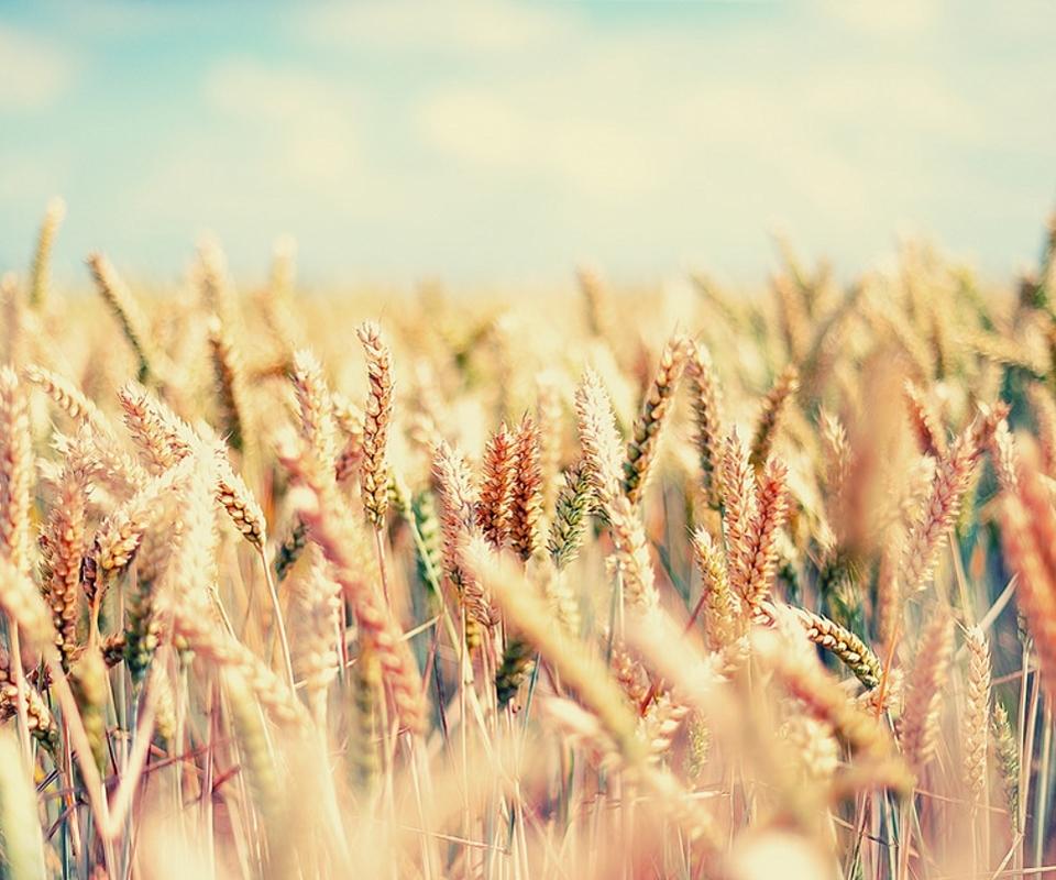 长大,就是你知道那是什么事,成熟,就是你知道后故意说不知道