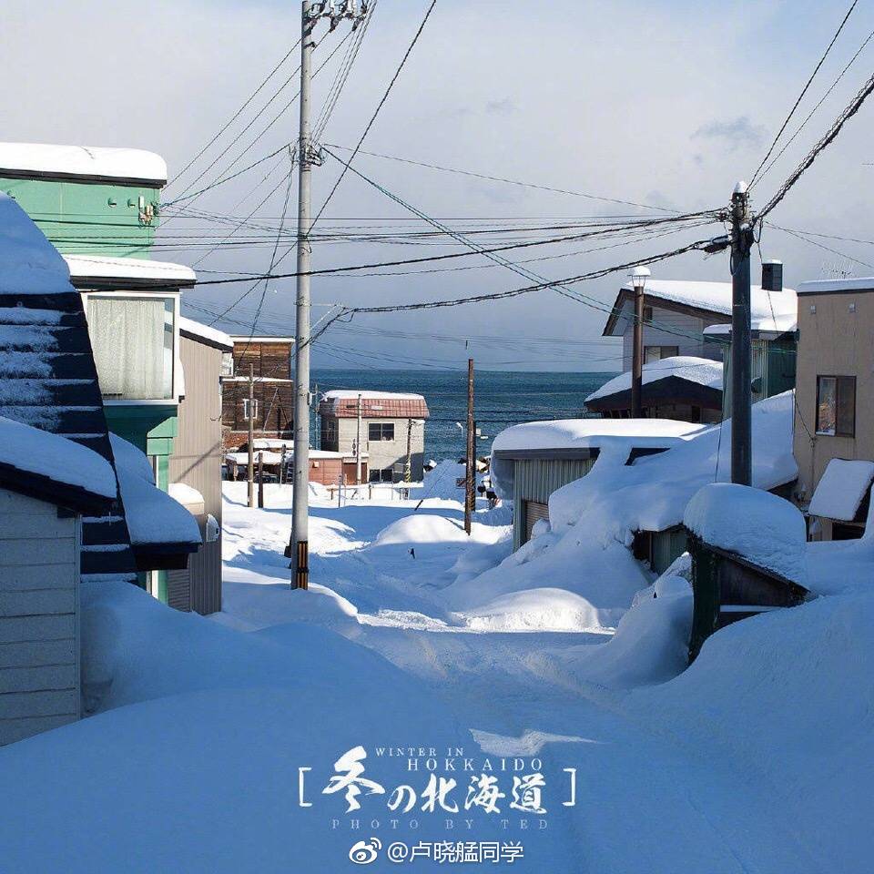 北海道的陽光雪景