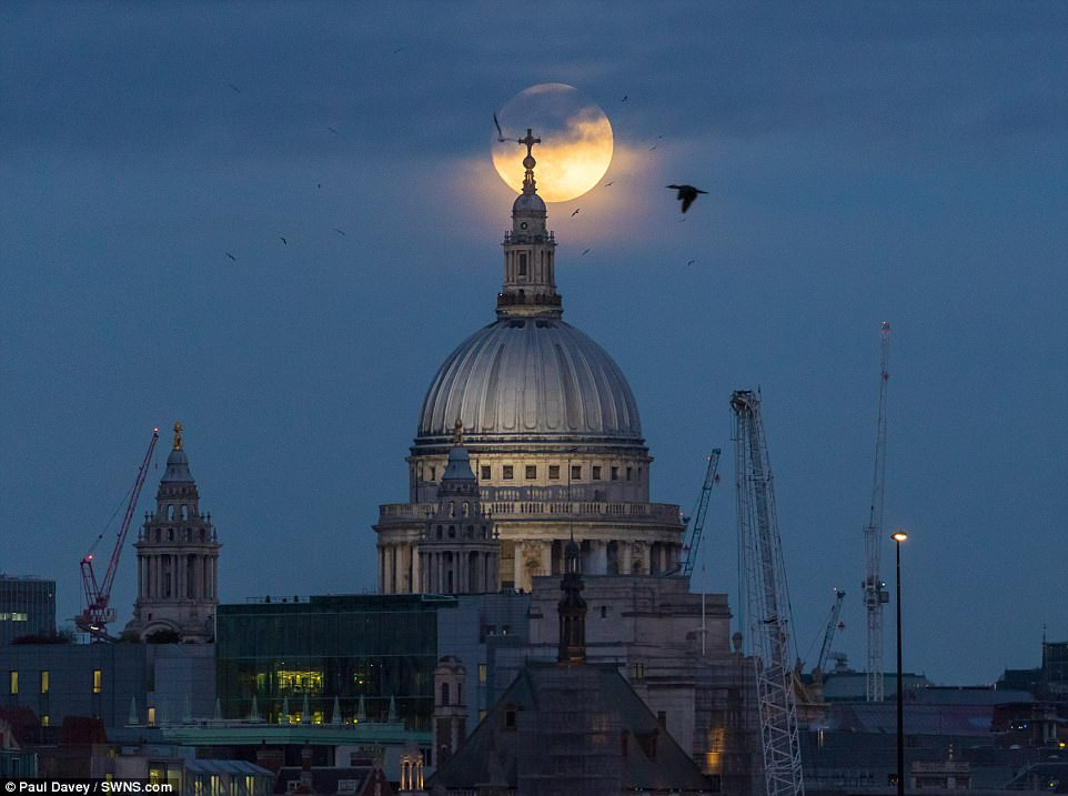更大更明亮的"超级月亮"现身元旦夜!照亮世界各地