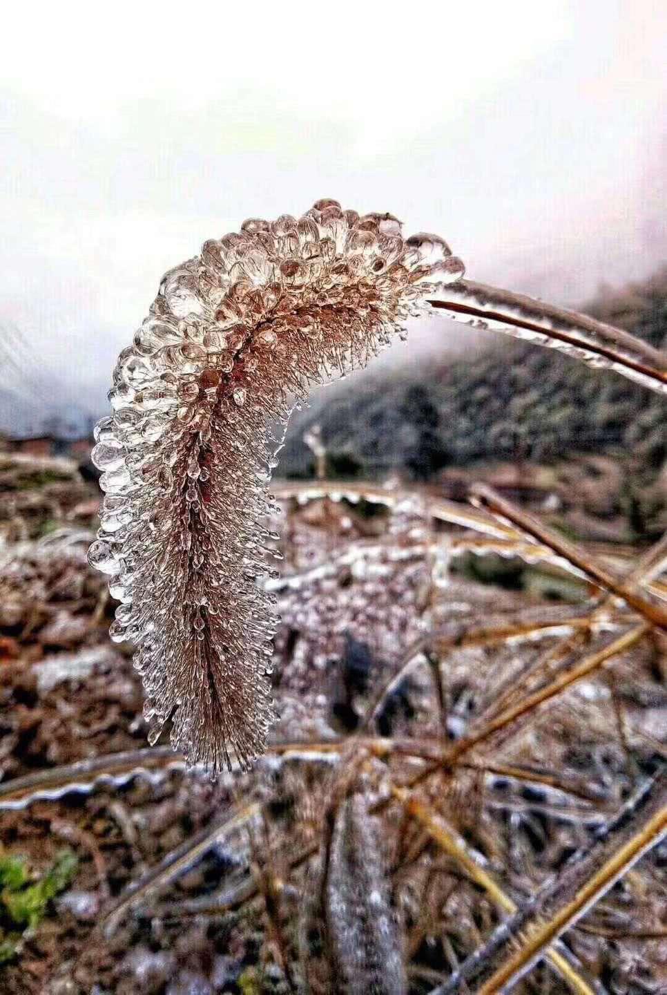 零下30度的美,这是我见过最美的冰!