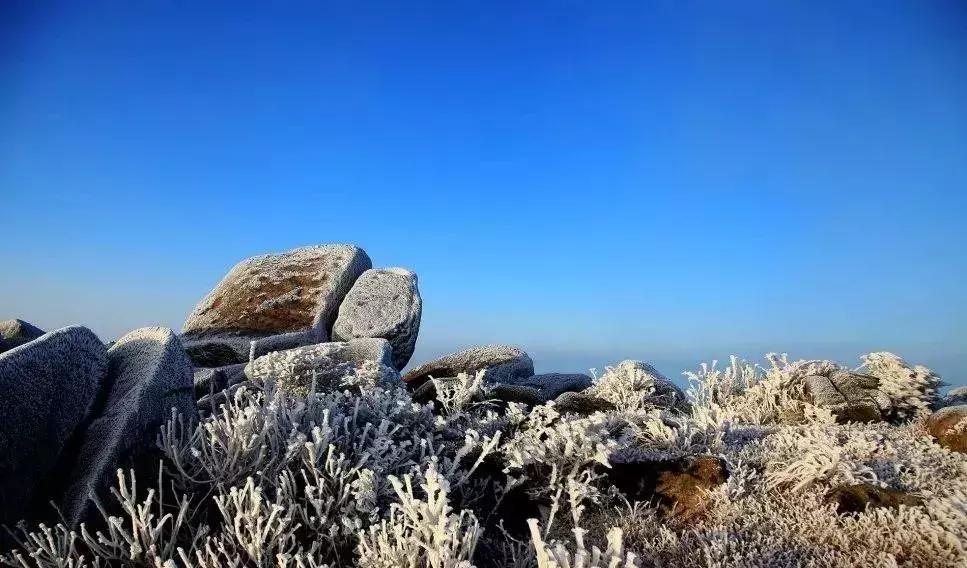 网友在樟树玉华山顶用手机拍到惊艳的一幕有图有真相