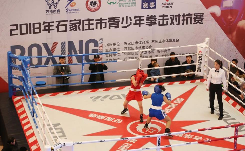 小小拳头挥舞中国力量 2018年石家庄市青少年拳击