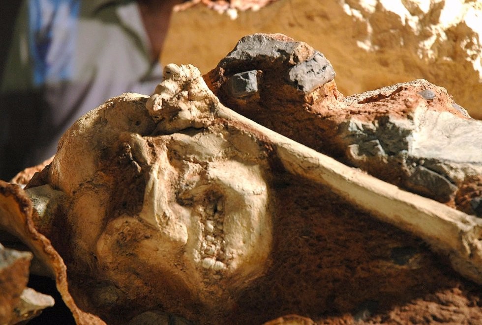 南非展出迄今最完整的人类祖先化石,距今已有367万年_新浪看点