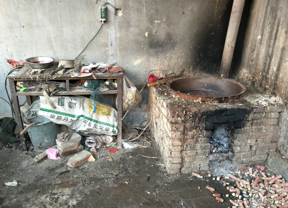 图上是郭大叔把鸡鹅放到大锅灶里煮,煮一段时间,这样鸡鹅的毛容易退.