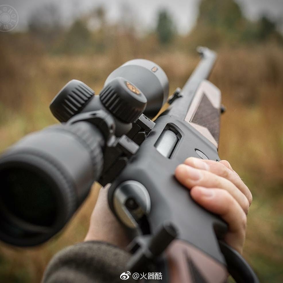 送一组杠杆枪美图