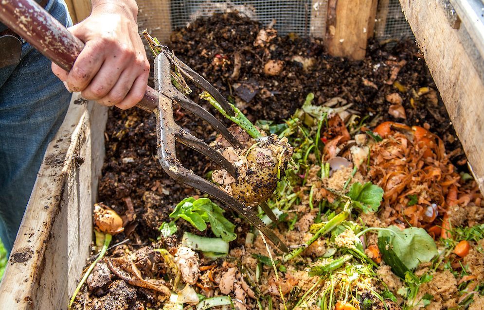 家里的垃圾都用来堆肥养花的时候放一些就能常年开花枝叶旺盛